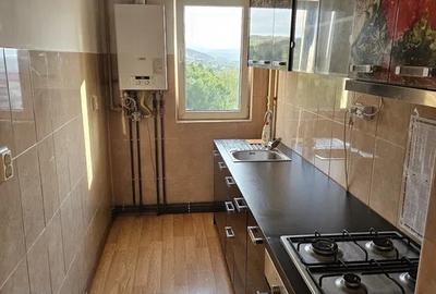 Apartament 2 camere pe Clăbucet - 1