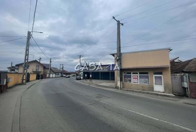De Vanzare Spalatorie Auto + Anexe si Teren Aferent, Strada Luncilor - 13