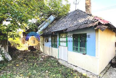 Casă individuală cu 2 camere în Bodeștii de Jos