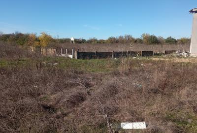 Teren Casa 450mp Str Mesteacanuui - 1