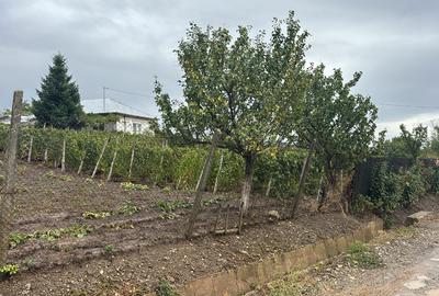 Vand  teren intravilan in Valea Călugărească, parcela excelenta pentru  locuinta - 4