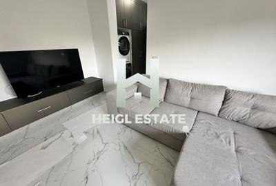 Apartament cu 2 camere  si curte privata in zona Braytim - 2