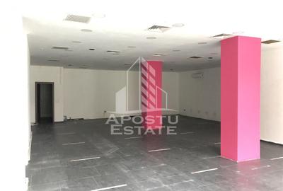 Spatiu Comercial 120 mp Zona Circumvalatiunii - 3