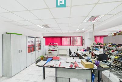 Hală de producție, cu birouri și teren, în Sebiș - 32