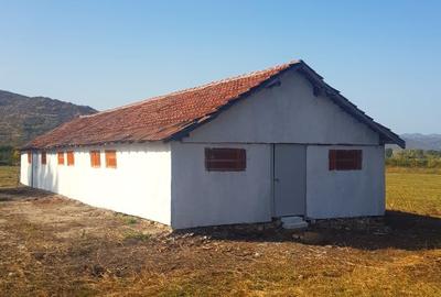 Vand teren  500 m p , 1000 mp  , 17500 mp intravilan , negociabil. - 8
