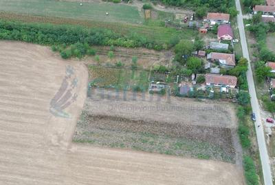 Teren intravilan de vanzare, Bihor - 9