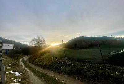 TEREN INTRAVILAN 2,26 HA | SUCEVITA | - 2