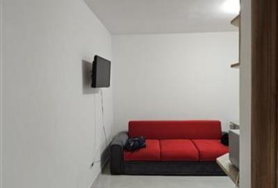 Berceni-Drumul Binelui,apartament 2 camere,tip studio - 3