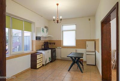 Lunei - Ion Neculce, 2 Apartamente. Mansarda 157 mp. Anexe, Lot 475 mp - 4