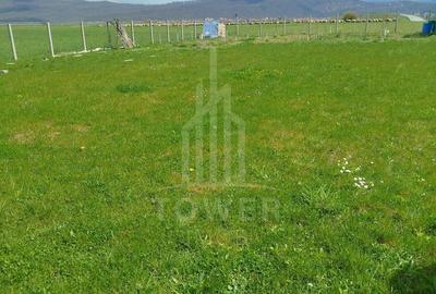 Grădină 862 mp cu cabanuta și pomi fructiferi – între Tălmaciu și Sadu - 3