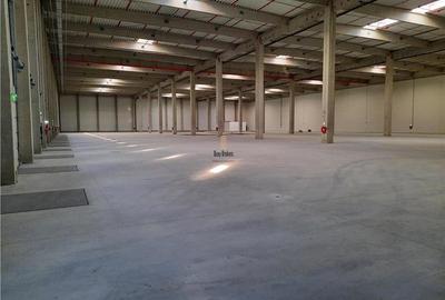 Spatiu Industrial - 3000 mp - Logistica - Productie - Depozitare - Distributie - 4
