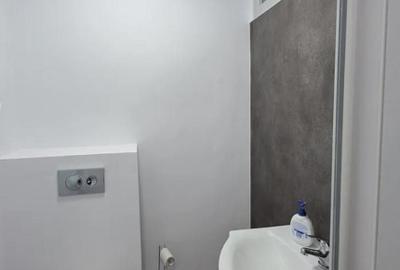 Spatiu Sad de inchiriat in apropiere de Iulius Mall - 7