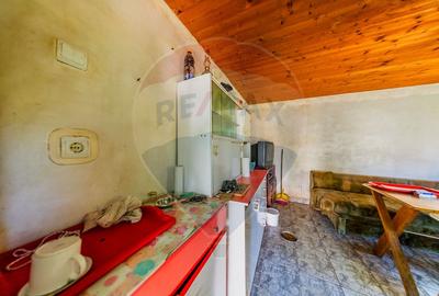 Casă cu 3 camere de vânzare în zona Gai, teren de 1249mp - 28