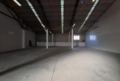 Hale renovate Calea Baciului / 2 x 530 mp / 3 x 400 mp - 5