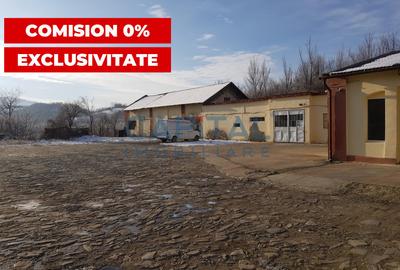 Spațiu industrial, 600 mp în Doman