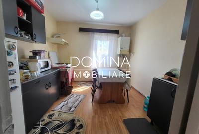Apartament cu 2 camere, mobilat si utilat, strada Lt. Col. Dumitru Petrescu - 3