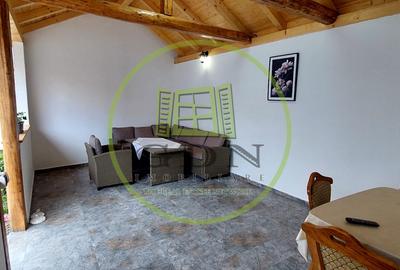 Vila cu 7 camere cu suprafata utila de 404mp spre vanzare in Seica Mare - 1