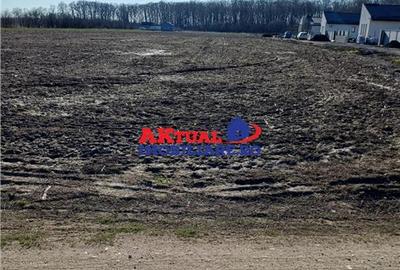 Vanzare Teren-8100mp-Domnesti -Teghes - 3