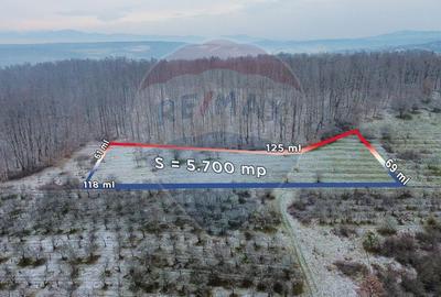 Teren 5,700mp Somcuta Mare / investitie cu potential major - 7