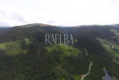 7831mp Padure | 1200mp construbili | 5.min Partie Transalpina | 177m Lac Vidra - 3