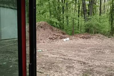 Duplex Exclusivist si curte privata Iancu Nicolae - 8