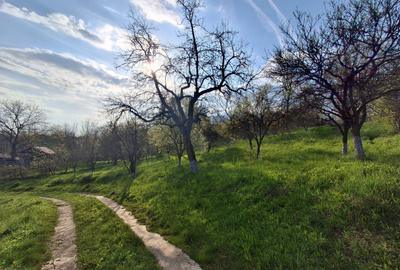 Moșia cu casa în vârf de deal, Scorțeni - Prahova, comision 0% - 2