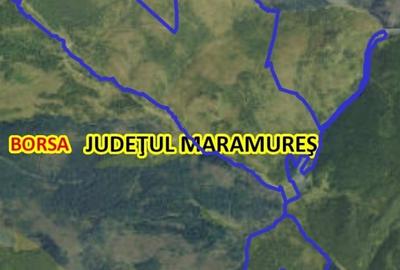 De vânzare: 530 ha pădure de foioase și rășinoase în Borșa, județul Maramureș