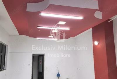 Spațiu Comercial de inchiriere Soseaua Giurgiului - 4