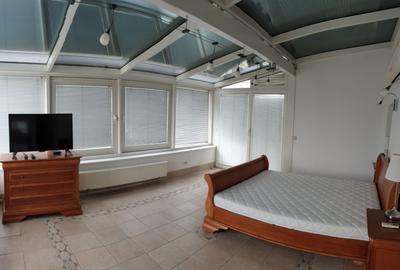 Vanzare apartament penthouse Gradina Icoanei - 8