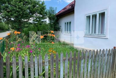 Casă individuală cu 2 camere în Cacica