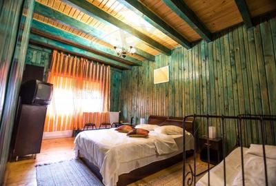 Pensiune in zona de munte-Baia de Fier - 10