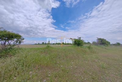 Teren extravilan, 114000 mp, Parc industrial West Park - 8