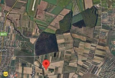 Teren extravilan de 11000 mp, în Nojorid