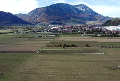 Teren Construcții intravilan de 1690 mp, în Central