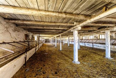Fermă Mândruloc 2,5 ha - 5