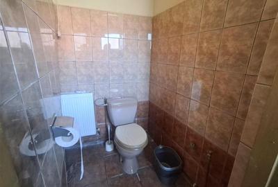 2 Apartamente la casa pivnita garaj in Cisnadie - 10