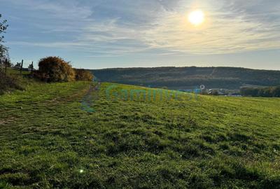 Teren de vanzare in Betfia, 5487 mp intravilan, Bihor - 7