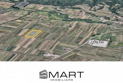 Teren extravilan de vânzare –5000 mp, Șelimbăr (Mohu) - 3