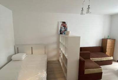 Apartament 1 camera Nicolae Grigorescu- termen lung/ scurt - pet friendly - 7