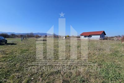 Teren intravilan | De vanzare | 410 mp | 18 ml deschidere | Partos - 3