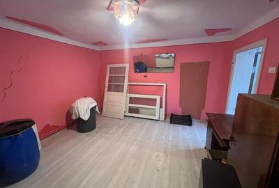 RECO, Casa cu teren intravilan, Cihei, toate utilitatile - 9
