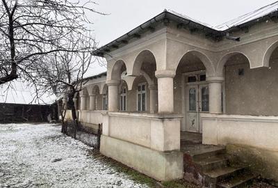 Vand gospodarie taraneasca traditionala - 5