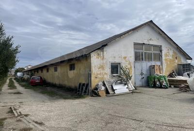 Hala de 736mp cu teren intravilan 1796 mp - Sibiu - 1