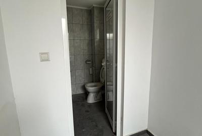 Casa / Villa cu 6 Camere/ Gheorghe Doja - 18
