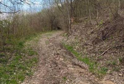 Oportunitate Teren extravilan 4000mp , Zona Baisoara - 5
