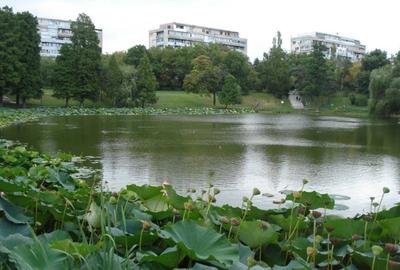AP. 3 CAMERE- PARCUL CIRCULUI, PET-FRIENDLY,  BLOC REABILITAT, MODERN - 7