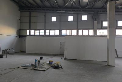 Inchiriere spatiu depozitare sau productie  sos. Giurgiului - 10