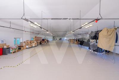 Spațiu industrial, 2640 mp în Răhău