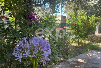 Randament 9.5% Afacere la cheie / Casa de vacanta Thasos Grecia la 50m de plaja - 12
