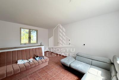 Casa individuala de vanzare, 175 mp, teren 1850 mp, Sanandrei - 15